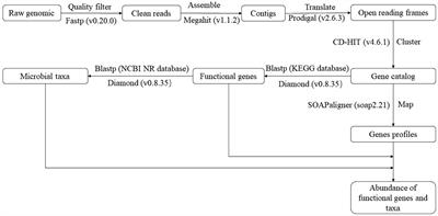 Long-term saline water irrigation affected soil carbon and nitrogen cycling functional profiles in the cotton field